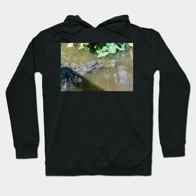 Alligator in wildlife preserve Hoodie by KensLensDesigns